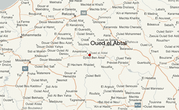  Where  buy  a escort in Oued el Abtal (DZ)